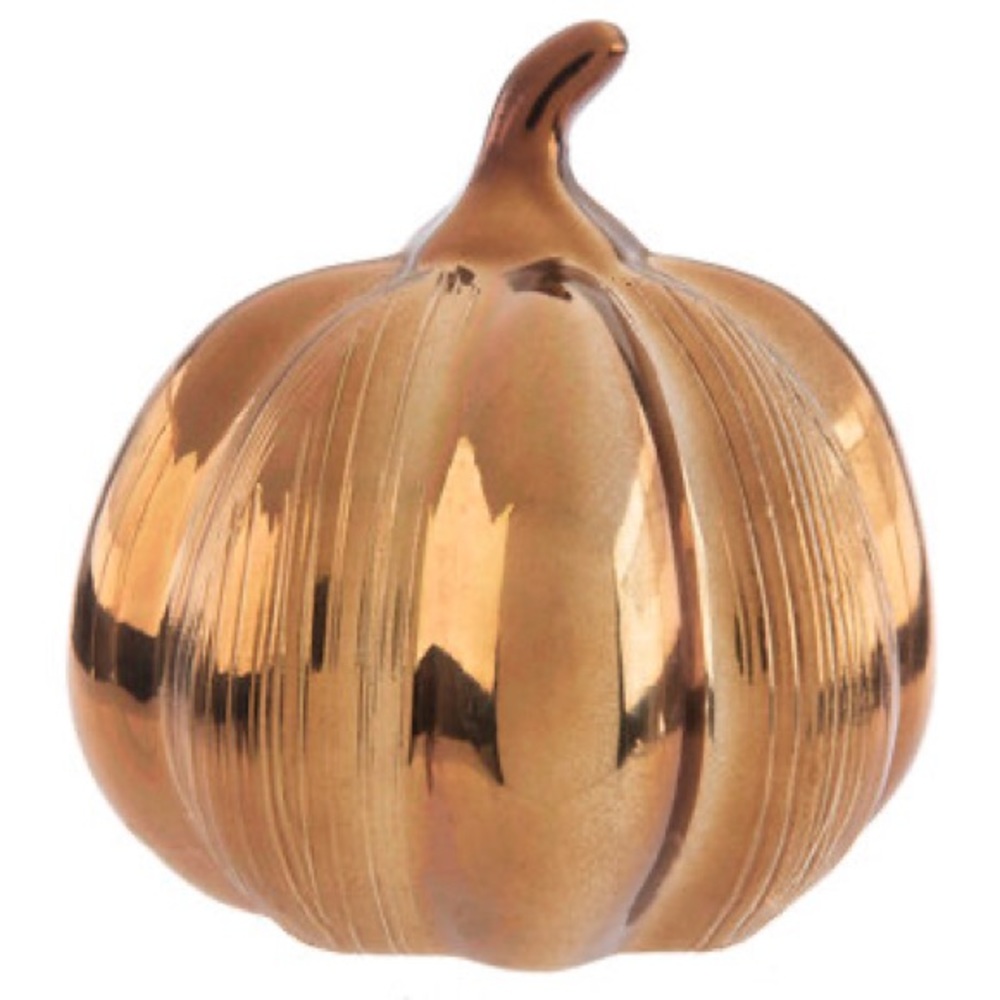 [NWT] {Robert Stanley} [Bronze Brushed Pumpkin ] {4 3/8”}[Fall Decor]